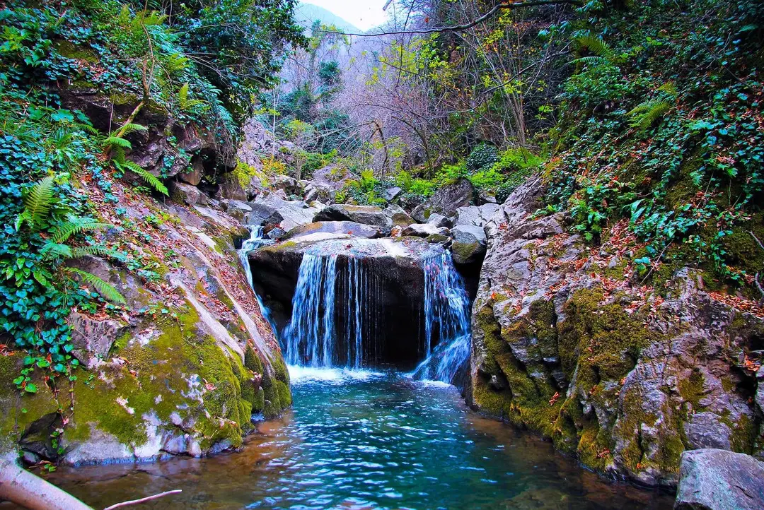 Beşkayalar Tabiat Parkı — Kocaeli — küçük resim 7