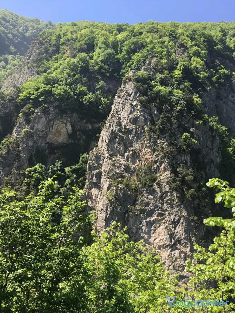 Beşkayalar Tabiat Parkı — Kocaeli — küçük resim 3