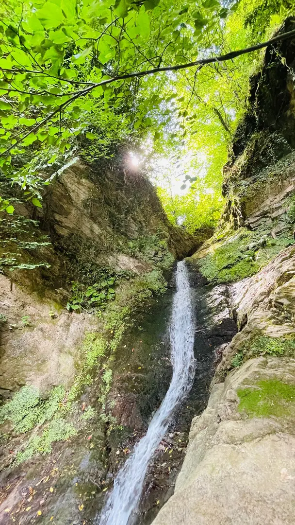 Beşkayalar Tabiat Parkı — Kocaeli — küçük resim 6