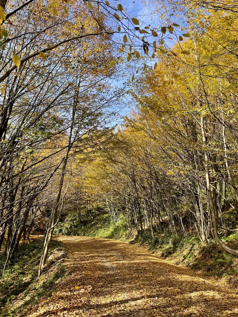 Beşkayalar Tabiat Parkı — Kocaeli — küçük resim 9