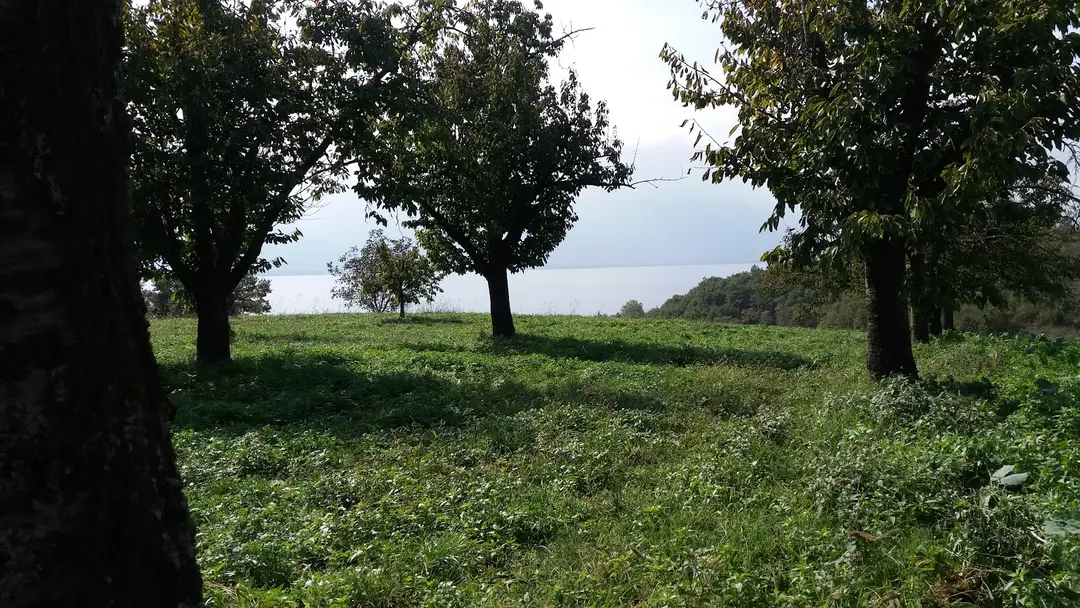 Kocaeli Provincial Border — Kocaeli — küçük resim 5