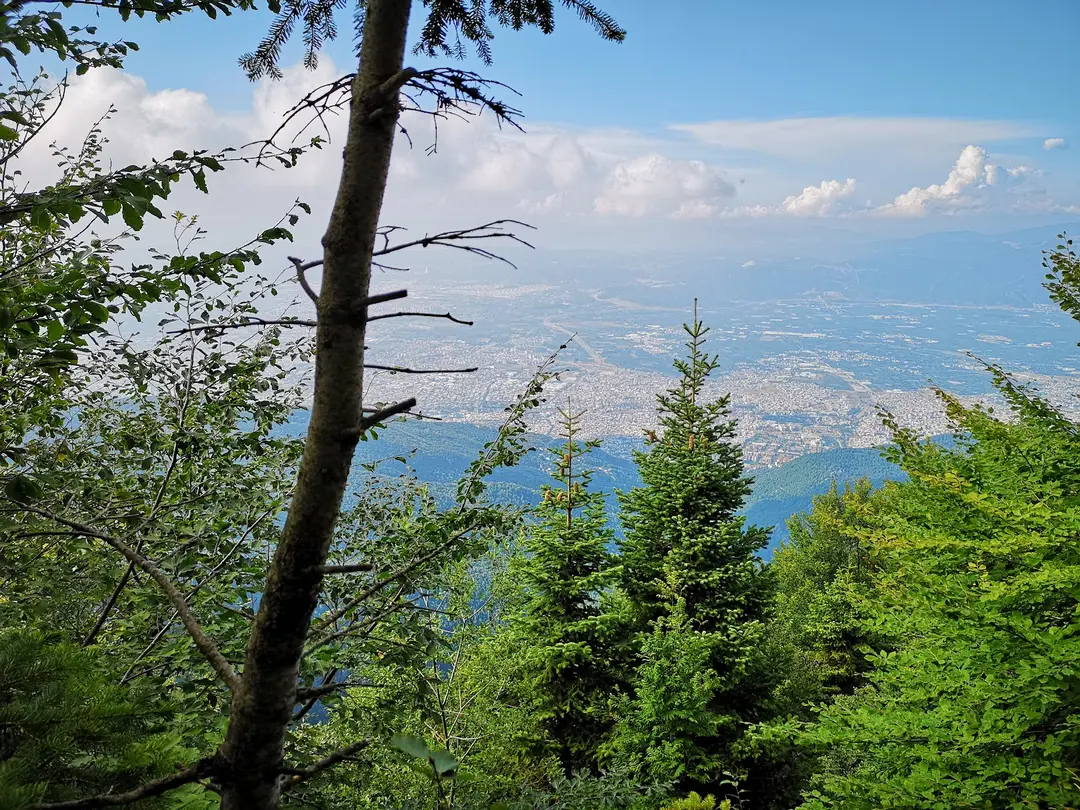 Sarıalan Kamp Alanı — Bursa — küçük resim 4