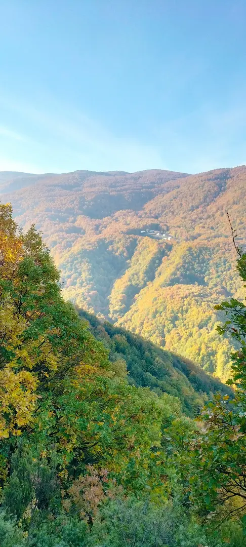 Sarıalan Kamp Alanı — Bursa — küçük resim 8