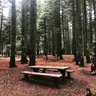 Sarıalan Kamp Alanı