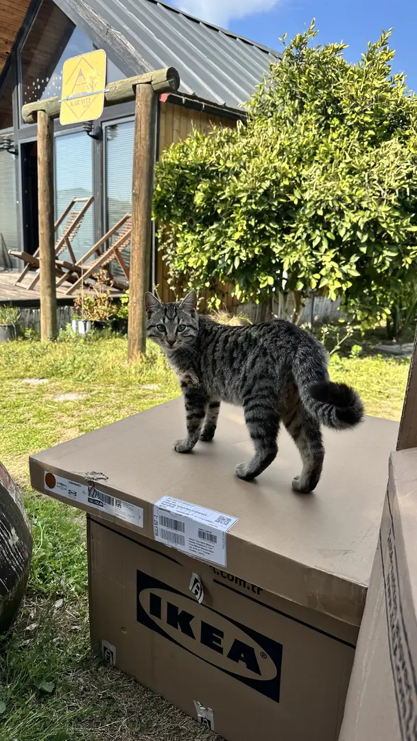 Karayel Suit Bungalov — Muğla — küçük resim 10