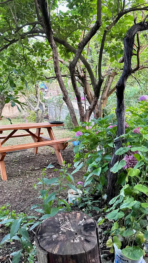 Derekızık Amcanın Çiftliği KARAVAN PARK,KAMP ALANI,PİKNİK ALANI(BURSA)KESTEL — Bursa — küçük resim 3