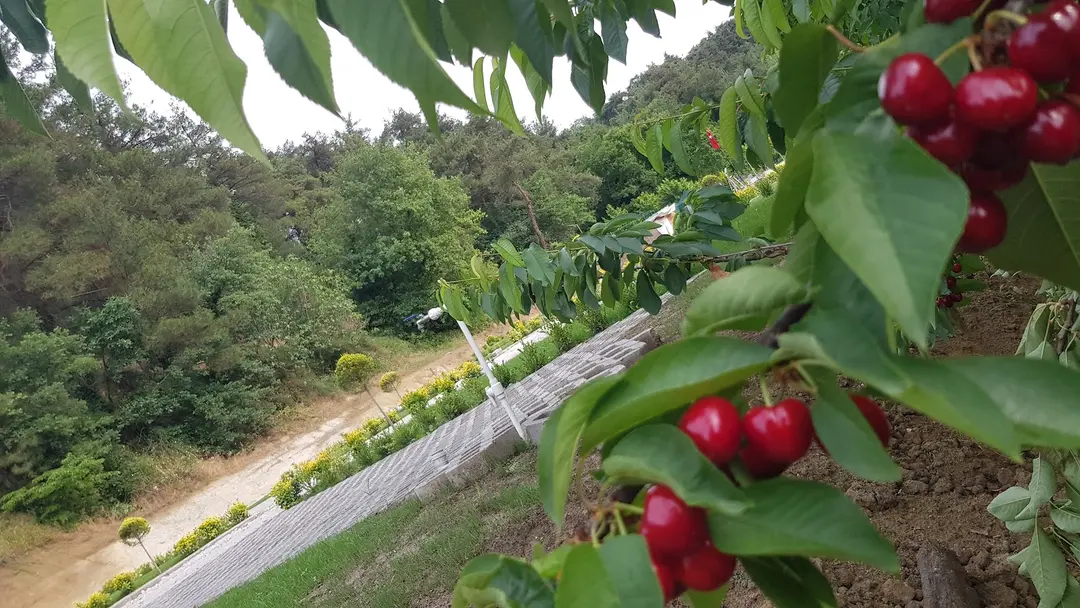Karavan ve kamp alanı — Bursa — küçük resim 4