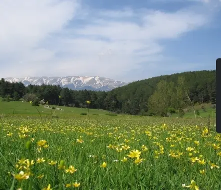 Uludağ Milli Parkı — Bursa — küçük resim 3