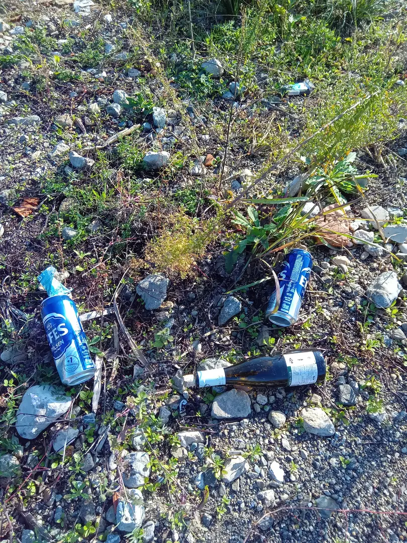 Ücretsiz Kamp Alanı — Bursa — küçük resim 6