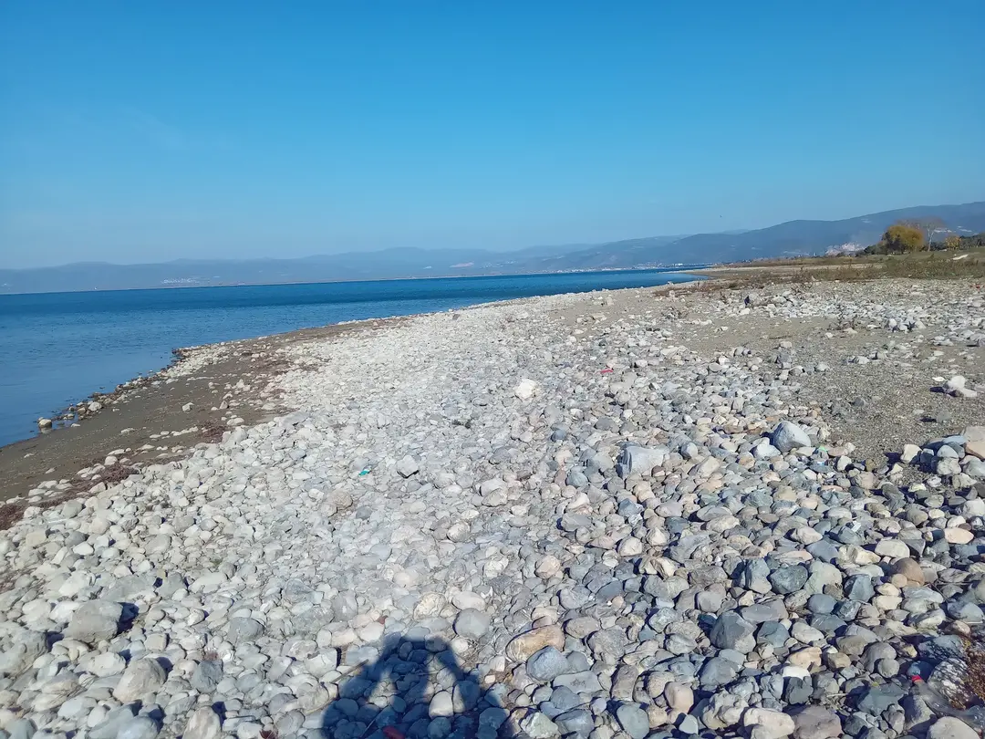 Ücretsiz Kamp Alanı — Bursa — küçük resim 10