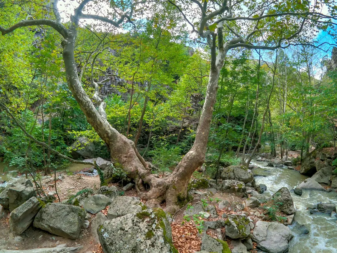 Sadağı Kanyonu Tabiat Parkı — Bursa — küçük resim 9