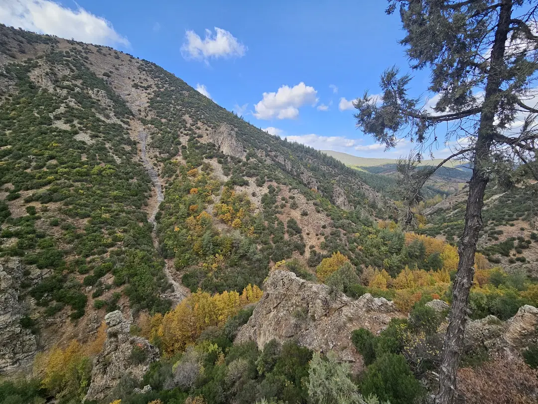 Sadağı Kanyonu Tabiat Parkı — Bursa — küçük resim 5