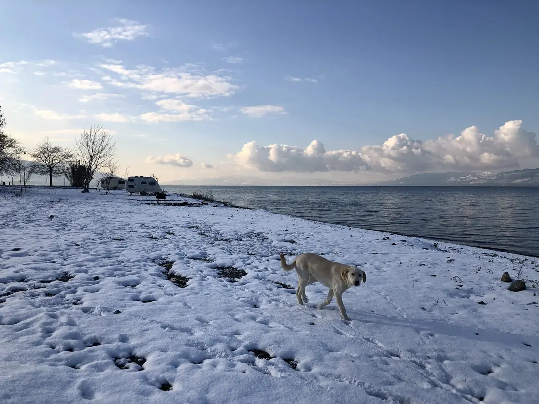 La Cabaña İznik — Bursa — küçük resim 5
