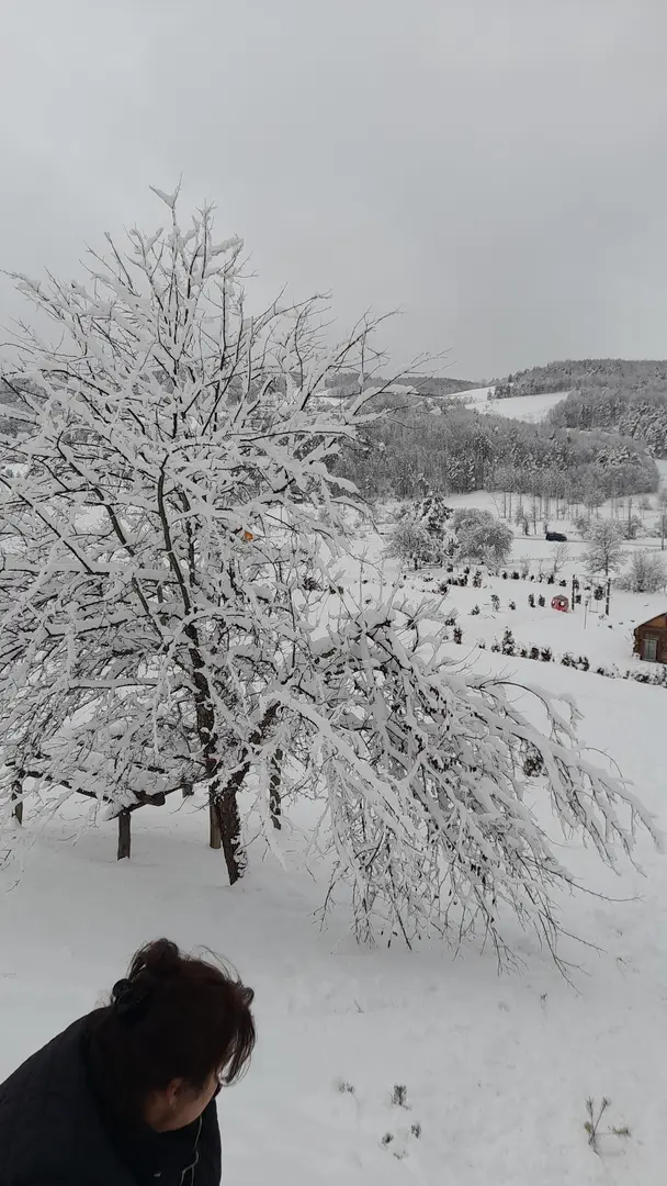 Cirit Camping — Bursa — küçük resim 3