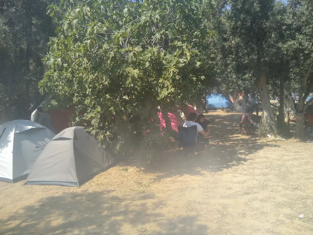 Gizli Bahçe Camping — Yalova — küçük resim 4