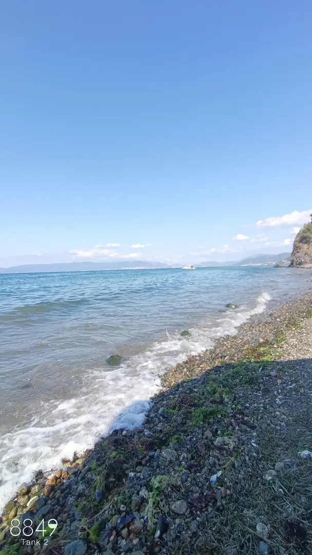 Kızılay Mudanya Gençlik Ve Sağlık Kampı — Bursa — küçük resim 4