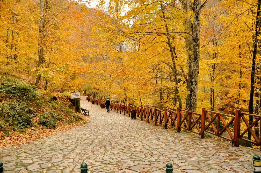 Suuçtu Tabiat Parkı ve Şelalesi — Bursa — küçük resim 4