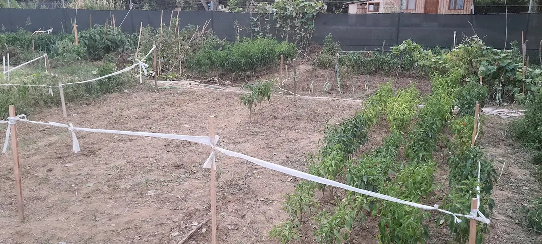 Cumbul Karavan Park — Bursa — küçük resim 4