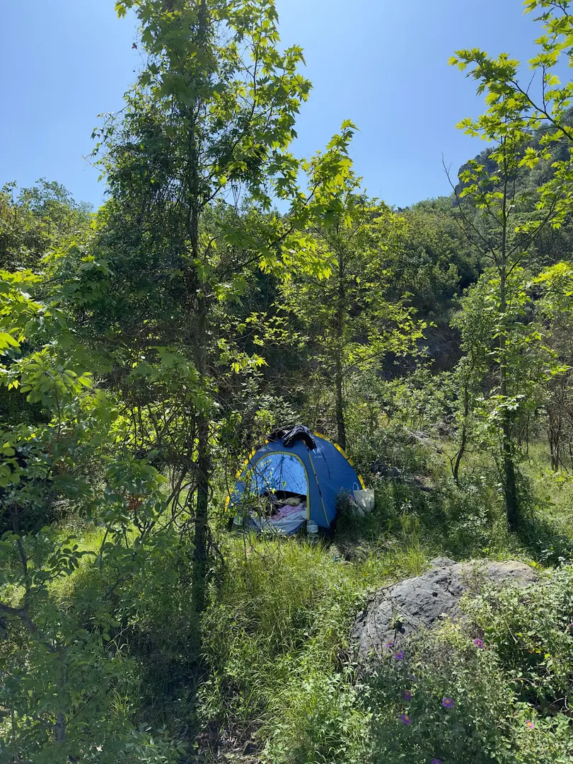 Sagopa Kajmer Kamp Alanı — Bursa — küçük resim 4