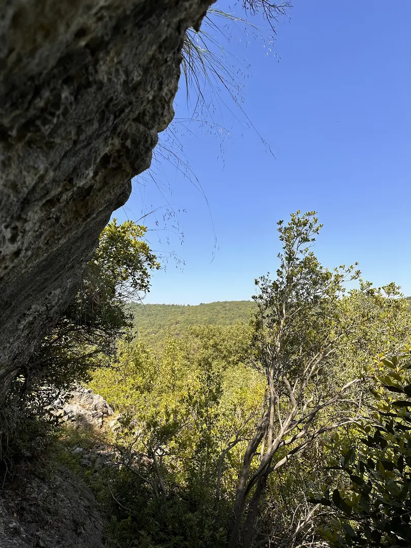 Sagopa Kajmer Kamp Alanı — Bursa — küçük resim 2