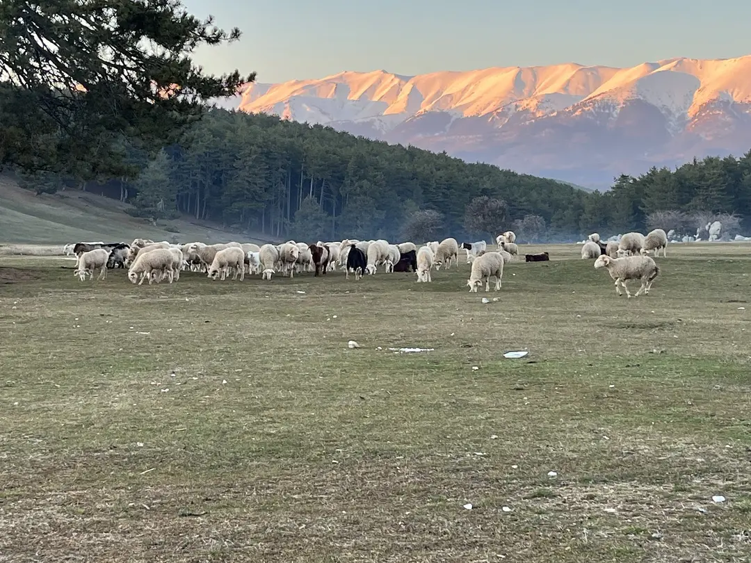 Keles Belediyesi Kocayayla Kamp Alanı Girişi — Bursa — küçük resim 4
