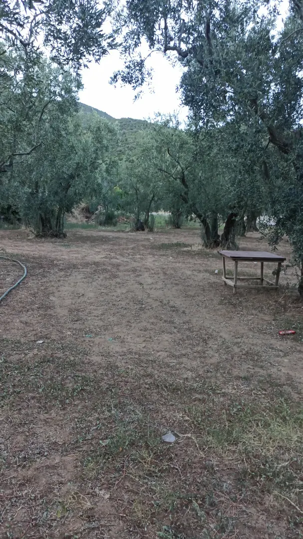Turan Aile Piknik ve kamp Alanı — Yalova — küçük resim 3