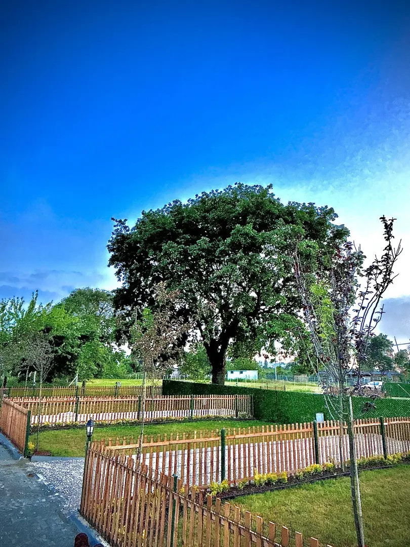 Royal Karavan Park — Bursa — küçük resim 4