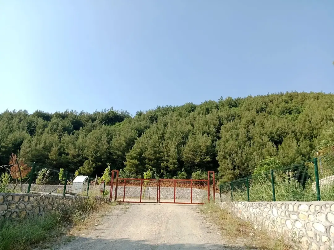 Bursa Misi Çamlık Karavan Park — Bursa — küçük resim 2