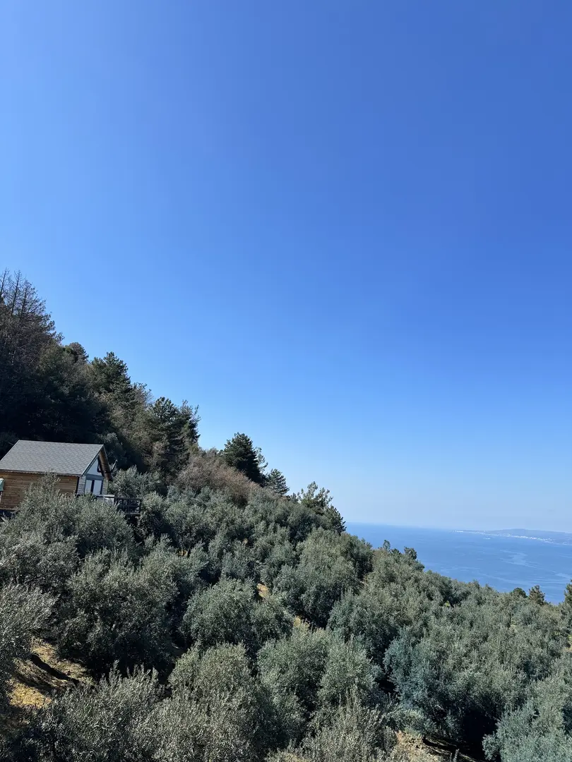 Zeytin Bungalov&Organizasyon — Bursa — küçük resim 7