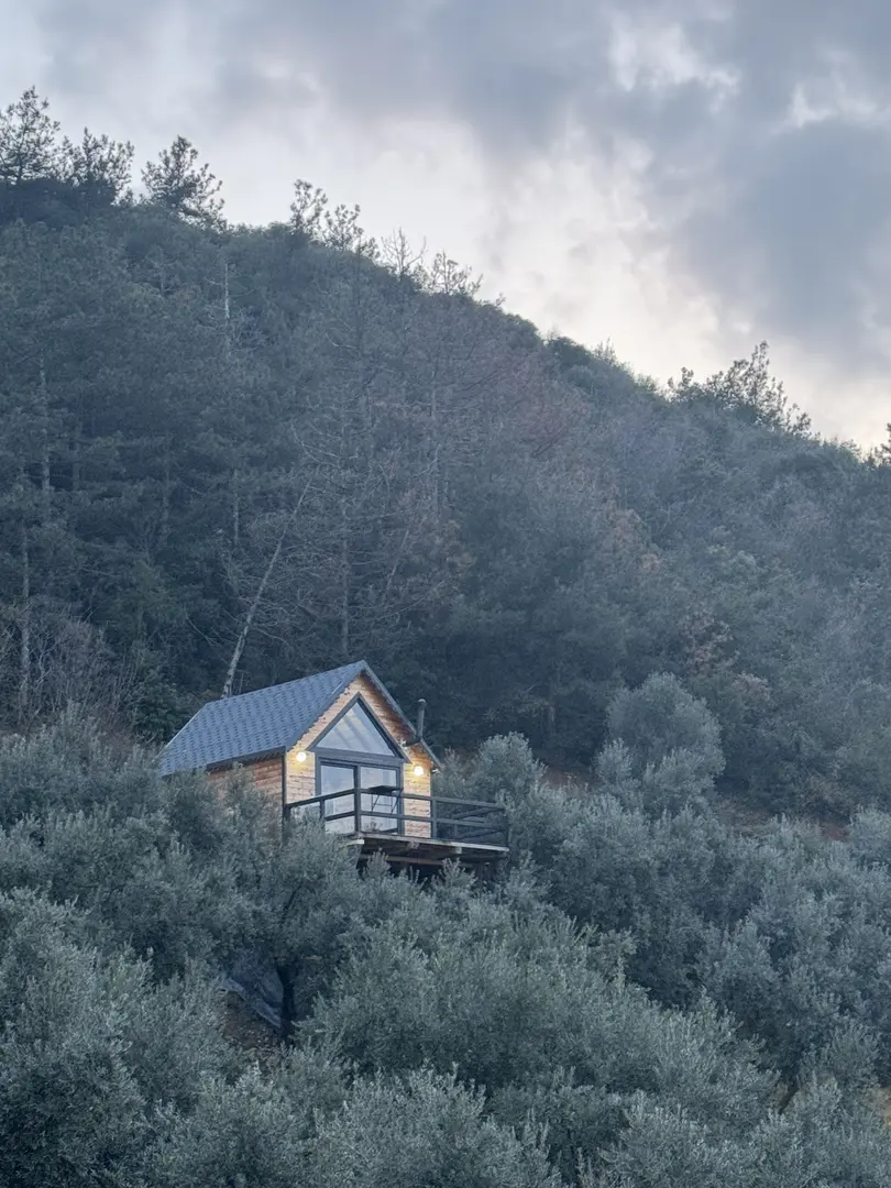 Zeytin Bungalov&Organizasyon — Bursa — küçük resim 5