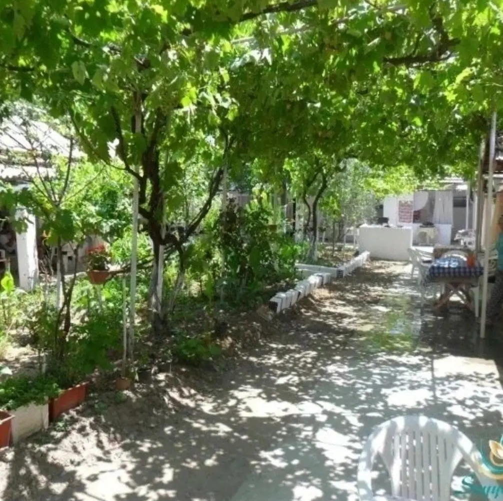 Natural Maral Kamp — Bursa — küçük resim 2