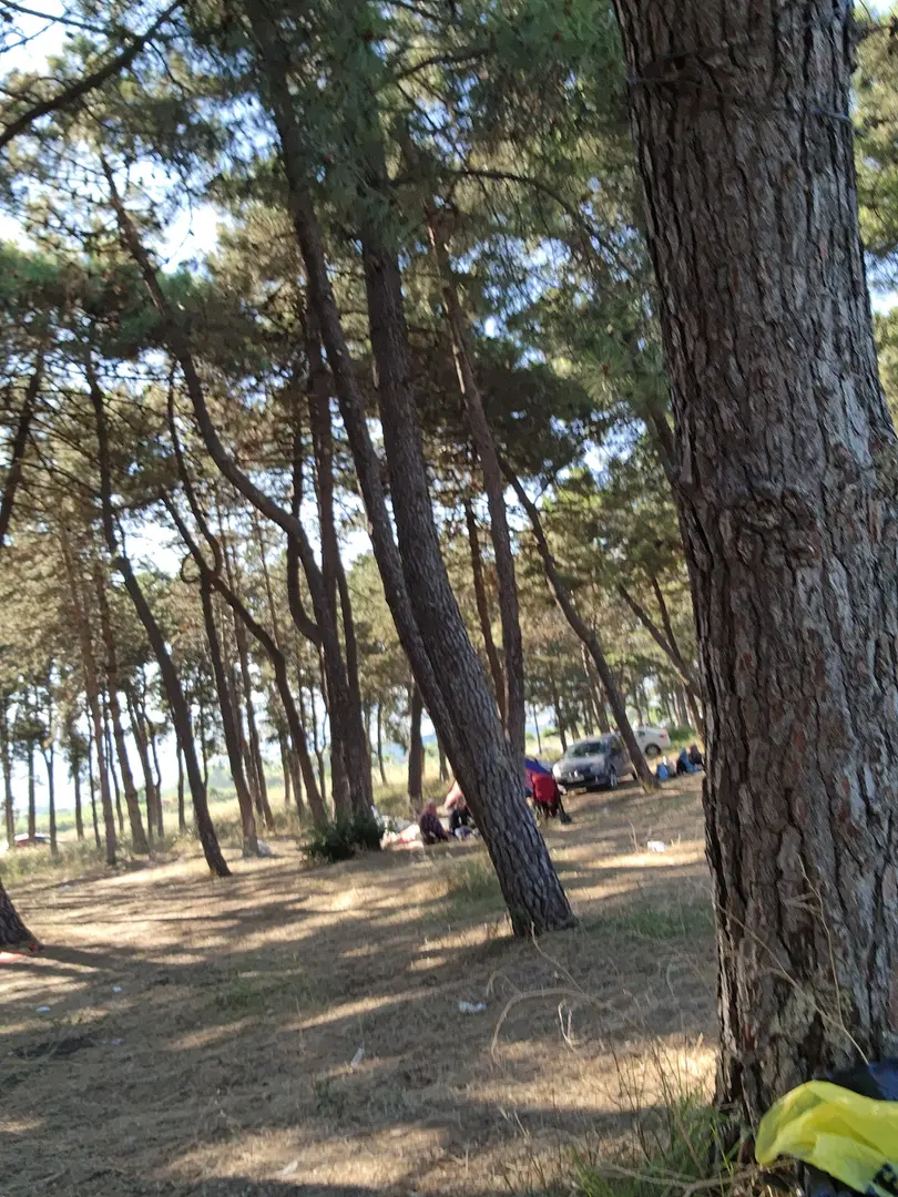 Area campeggio Lago di Iznik — Bursa — küçük resim 6