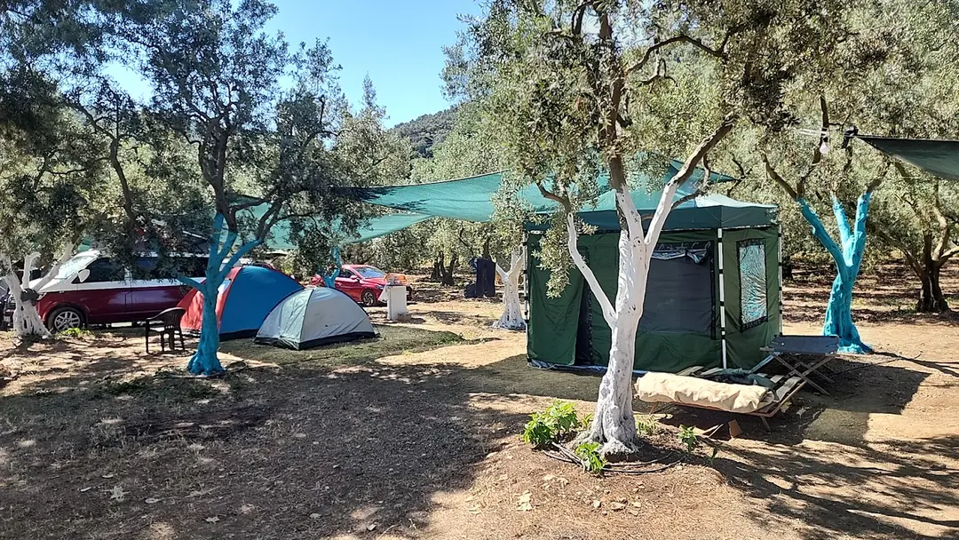 Parvan Camping — Bursa — küçük resim 4
