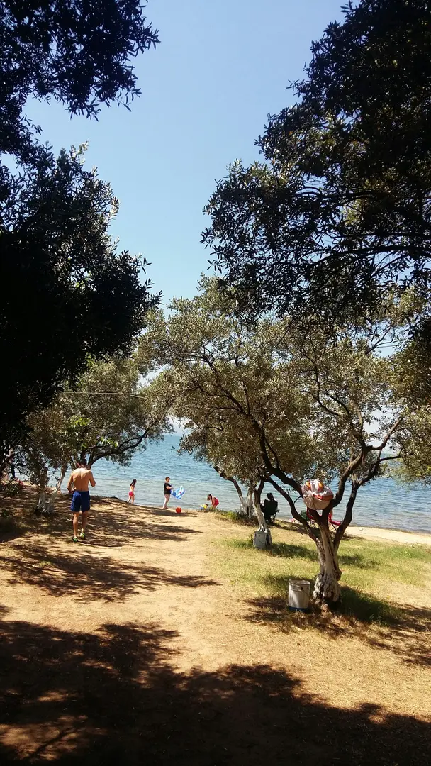 Küçük İpek Camping and Picnic Area — Yalova — küçük resim 10