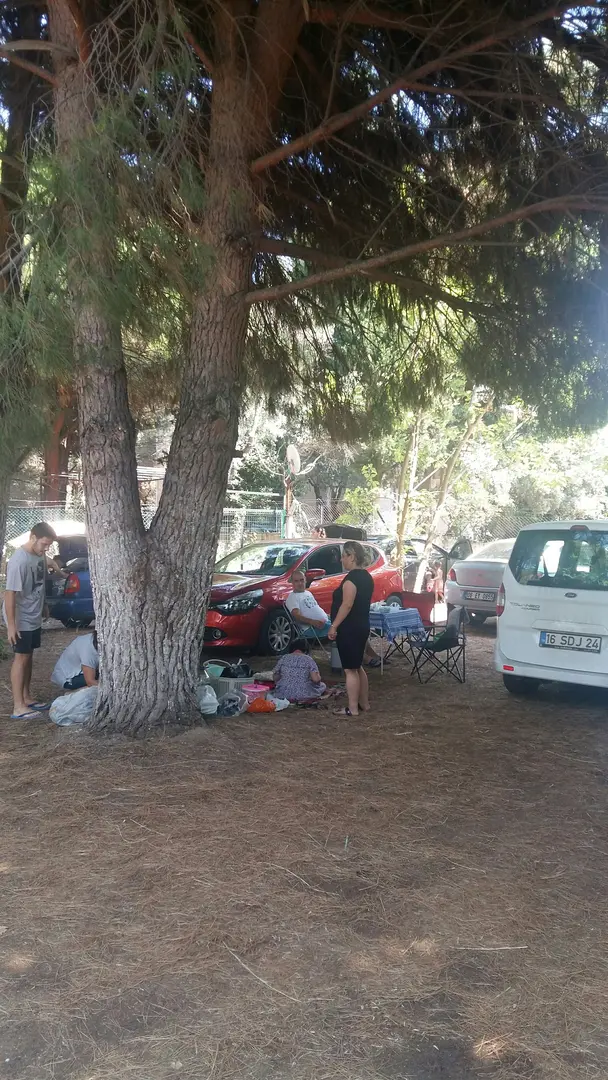 Küçük İpek Camping and Picnic Area — Yalova — küçük resim 4