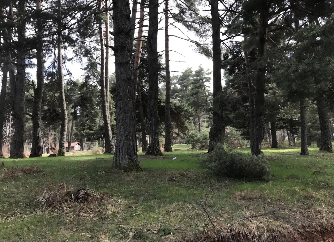 Alıç Yaylası — Bursa — küçük resim 3
