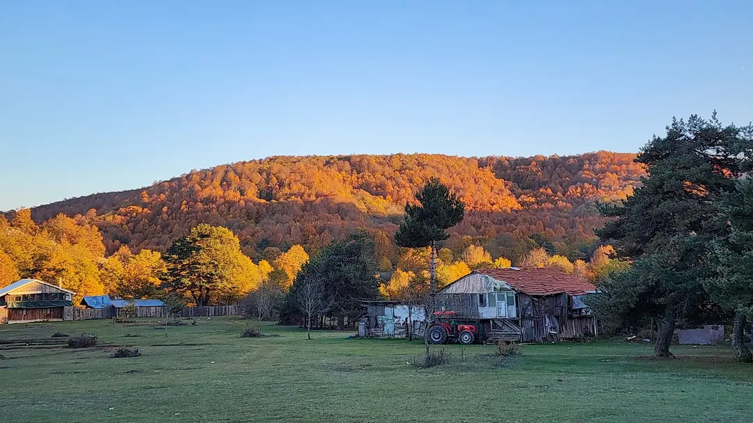 Alıç Yaylası — Bursa — küçük resim 2