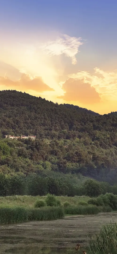 Atatürk Kent Ormanı — Bursa — küçük resim 5