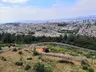 Atatürk Kent Ormanı