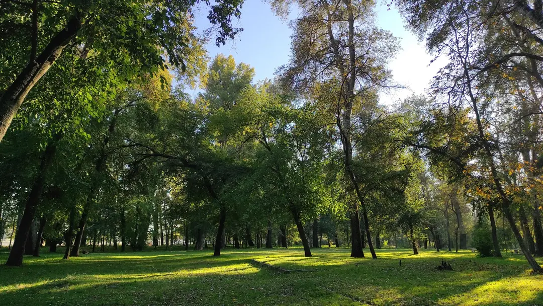 Edirne City Forest — Edirne — küçük resim 4