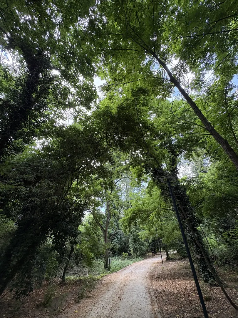 Edirne City Forest — Edirne — küçük resim 3