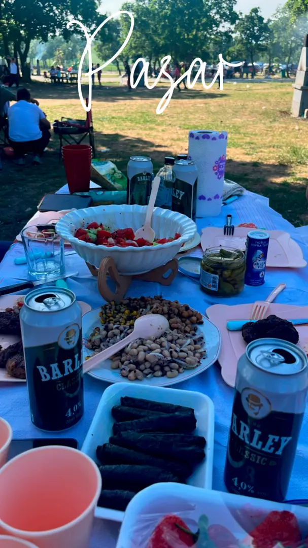 Musabeyli Mesire Alanı — Edirne — küçük resim 3
