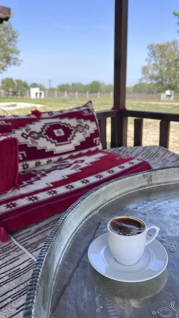 Musabeyli Mesire Alanı — Edirne — küçük resim 2