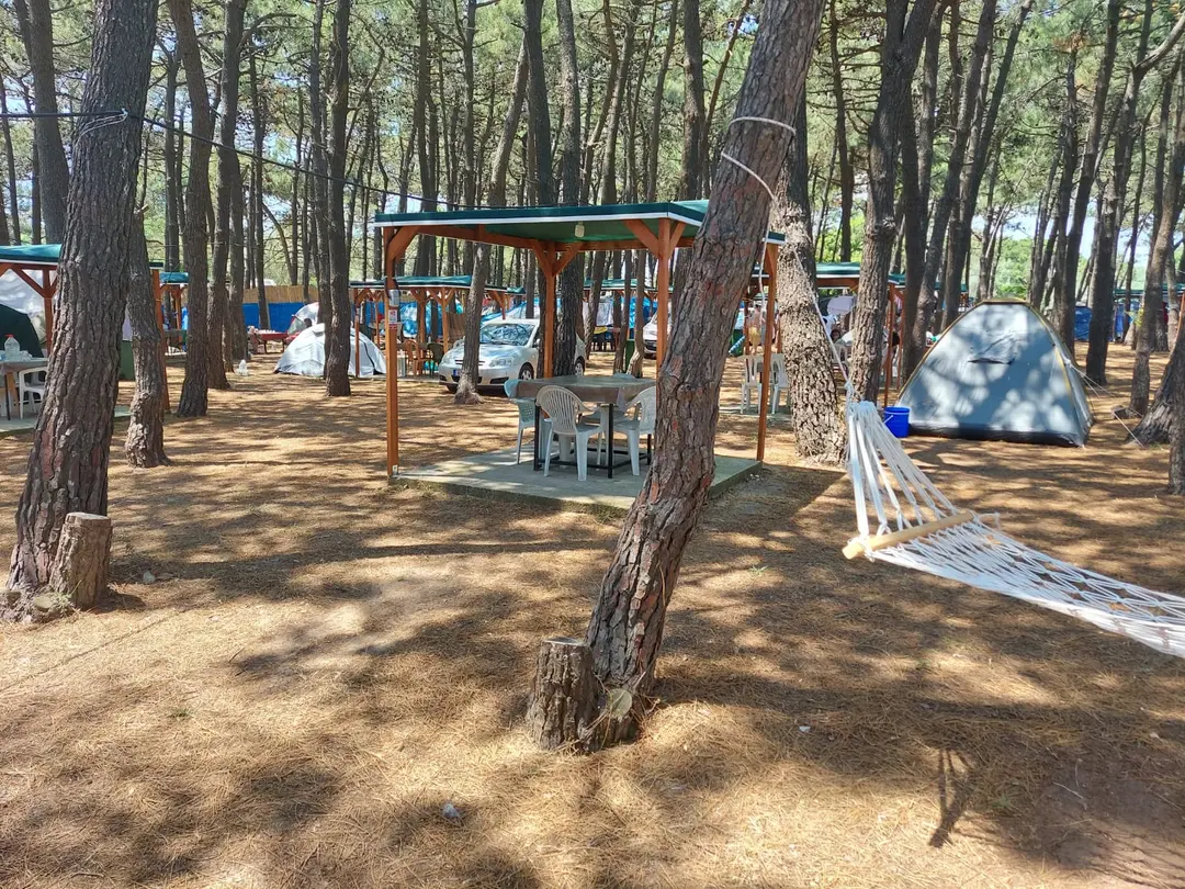 Erikli Camping - Erikli Camp Area — Edirne — küçük resim 3