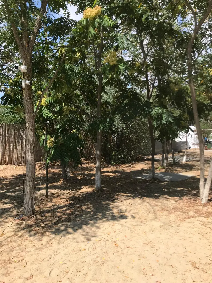 Yeşil Kamp & Milk Bungalows — Edirne — küçük resim 4