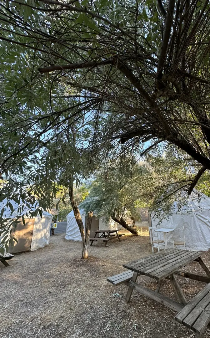 Yeşil Kamp & Milk Bungalows