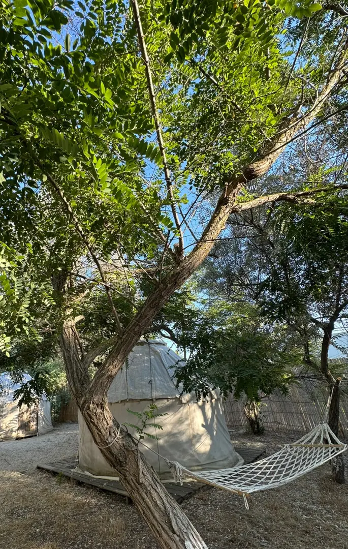 Yeşil Kamp & Milk Bungalows — Edirne — küçük resim 7