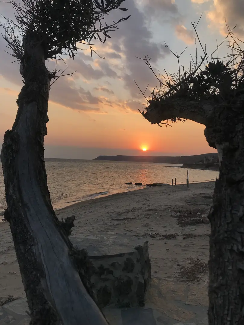 Altunhan Beach campsite — Edirne — küçük resim 4