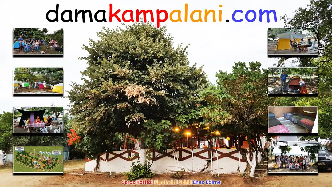 Dama Camping Area — Edirne — küçük resim 4
