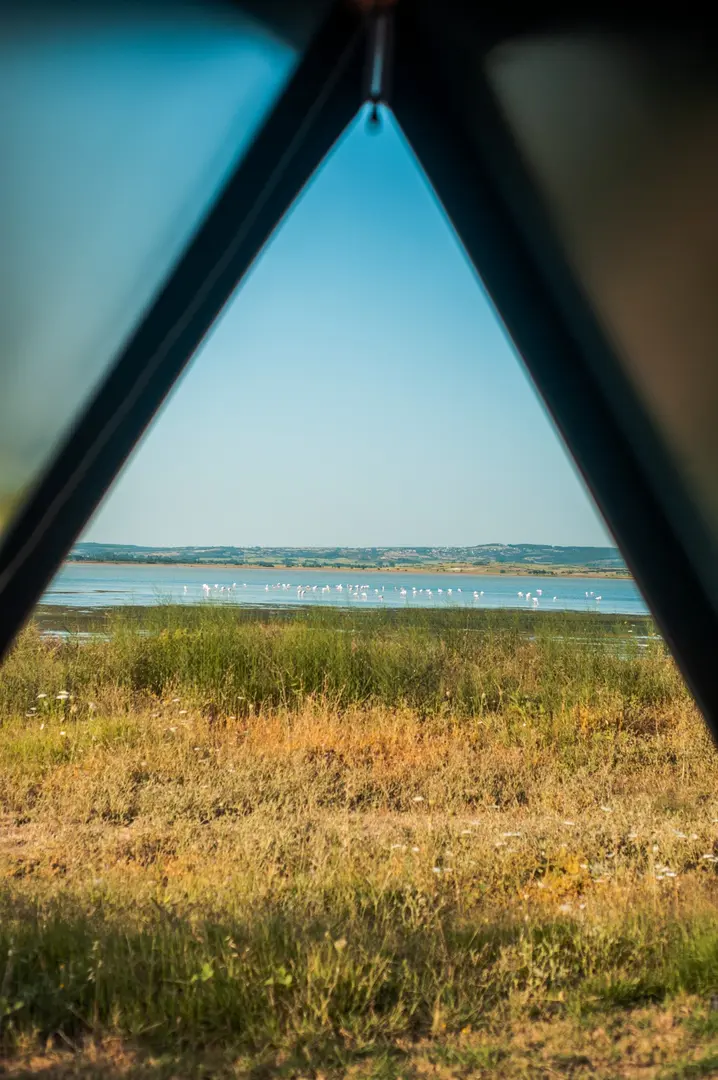 Flamingo Bungalow & Camping — Edirne — küçük resim 3